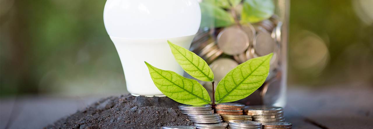Pierre Larrouturou : «Sauver le climat, la seule guerre qui ne fera aucune victime»