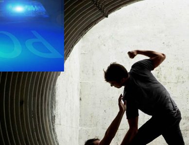 Proposition de loi visant à évaluer et à renforcer les mesures prises pour lutter contre les violences à l’encontre des membres des services de police