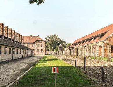 Proposition de loi modifiant la loi du 23 mars 1995 tendant à réprimer la négation, la minimisation, la justification ou l’approbation du génocide commis par le régime national-socialiste allemand pendant la seconde guerre mondiale, concernant l’utilisation d’insignes nazis