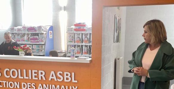 Visite de l&rsquo;ASBL Sans Collier