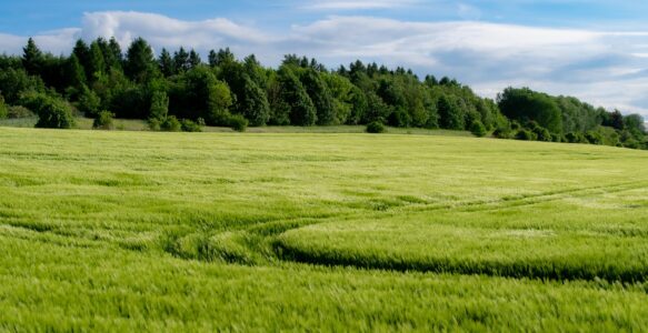 Proposition de loi modifiant le Code de droit économique et visant à permettre un contrôle accru de la chaîne d&rsquo;approvisionnement agricole et alimentaire.